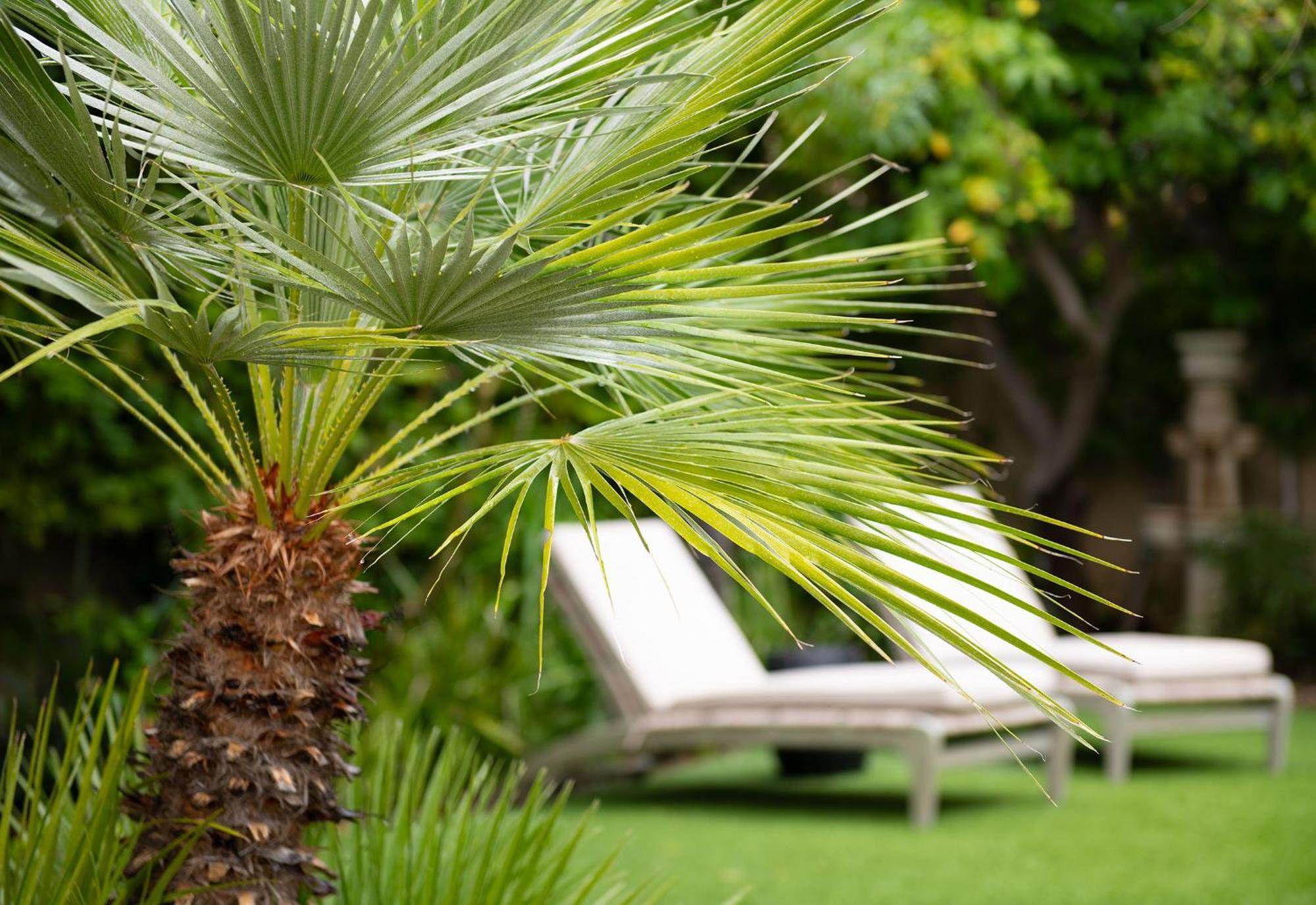 Villa Lucille Palm Springs